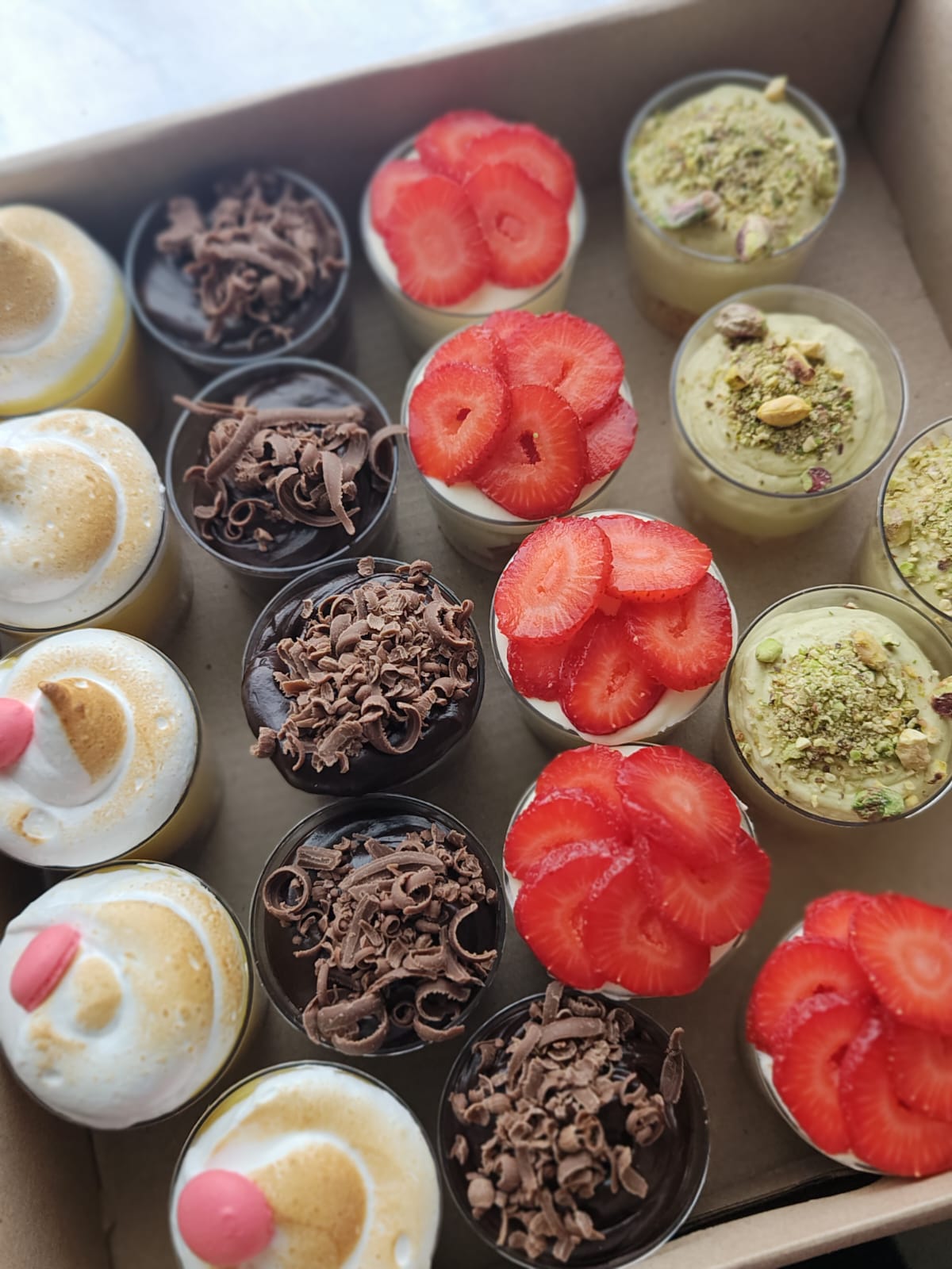 WhatsApp Image 2026-03-19 at 22.12.42 (1)