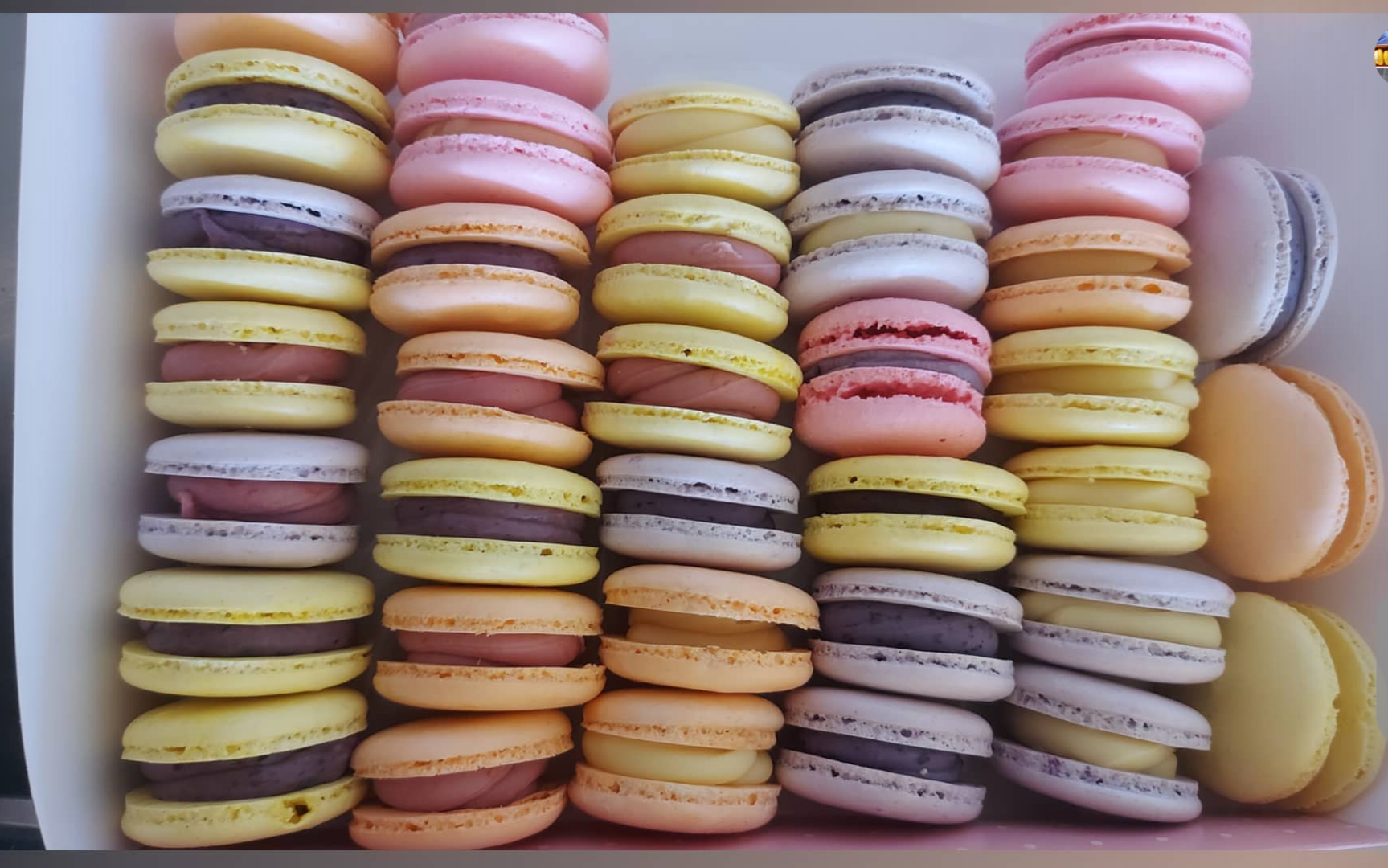 macarons
